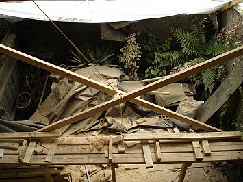 Life in a leaky building: a survivor's tale